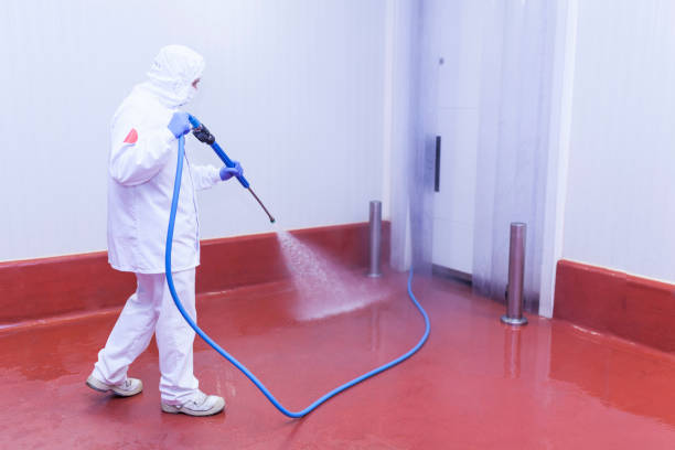 Best Spring Cleaning  in Dutch Island, GA