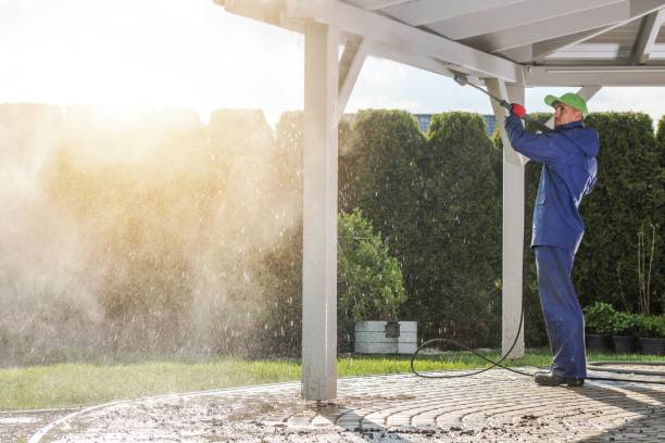 Best Residential Exterior Washing  in Dutch Island, GA