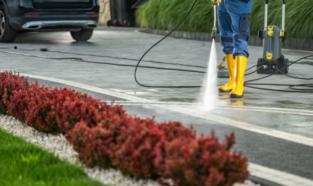 Best Fence Cleaning  in Dutch Island, GA